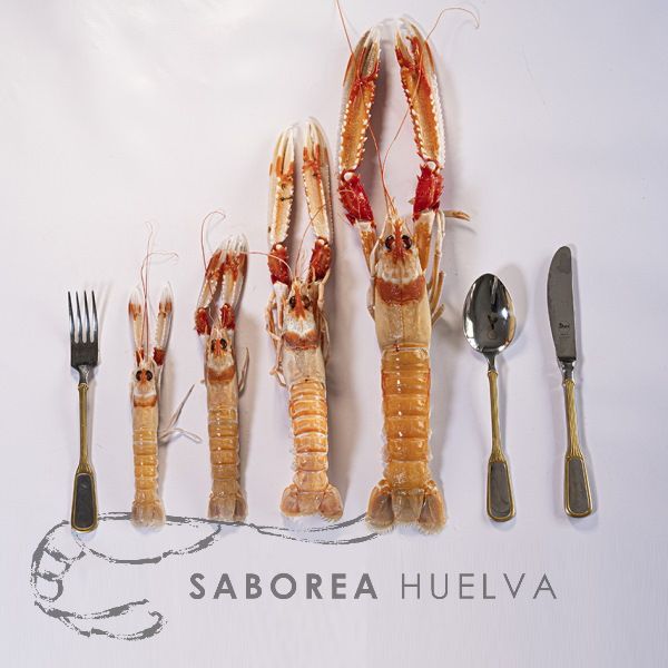 Cigala de Costa - Saborea Huelva