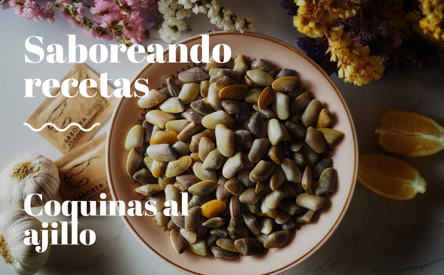 Receta de coquinas al ajillo - Saborea Huelva