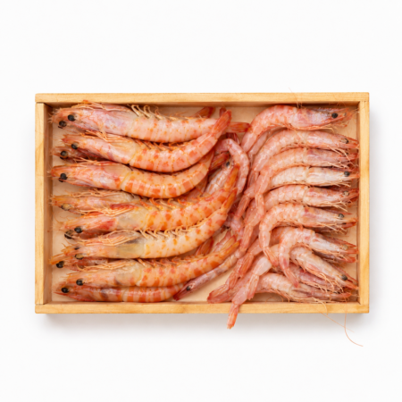 Gamba y Tigre