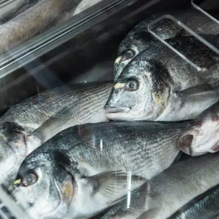 Tienda online de Marisco, Pescadería, Carne, Ibéricos y Vinos de Huelva - Saborea Huelva