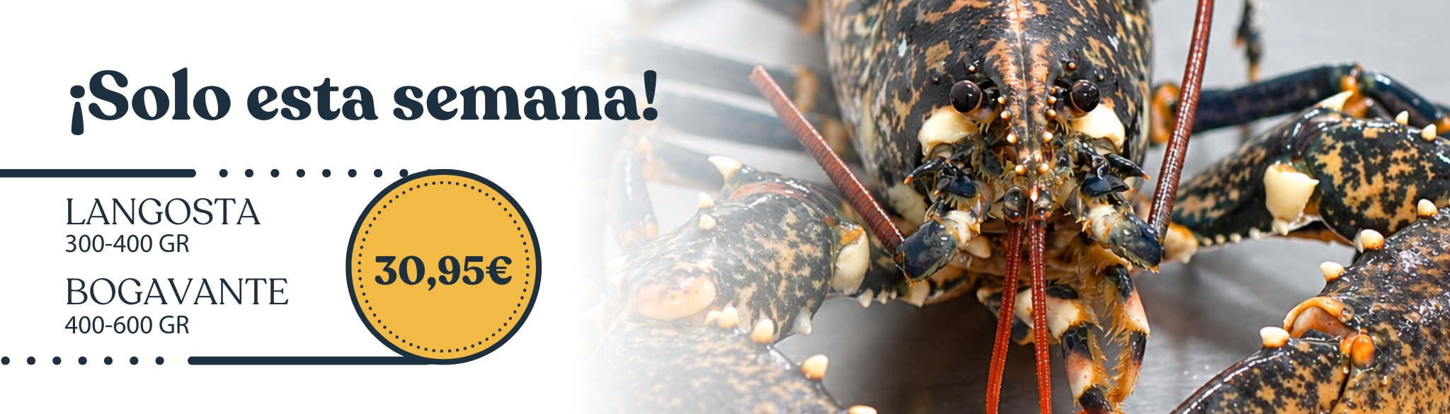 Tienda online de Marisco, Pescadería, Carne, Ibéricos y Vinos de Huelva - Saborea Huelva