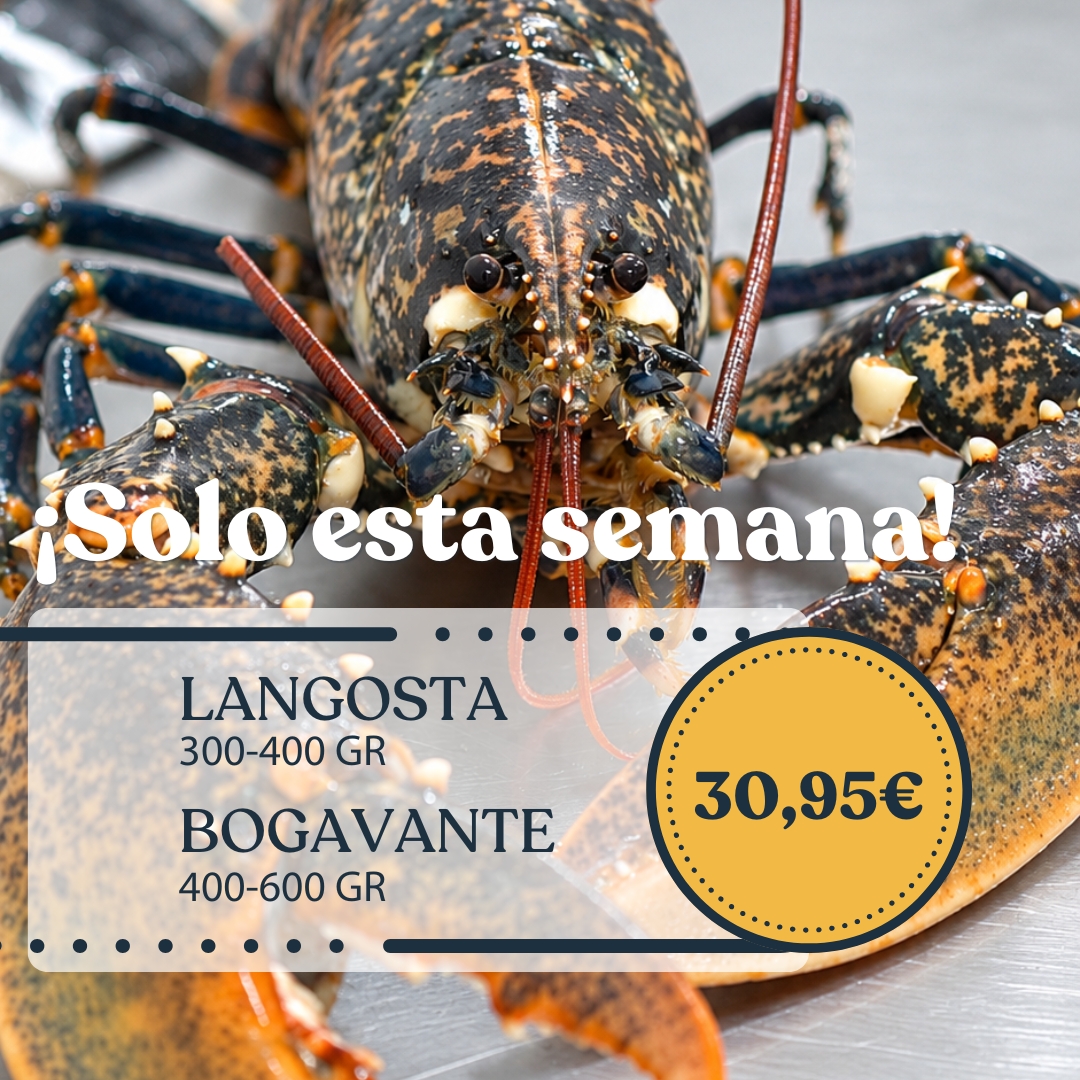 Tienda online de Marisco, Pescadería, Carne, Ibéricos y Vinos de Huelva - Saborea Huelva